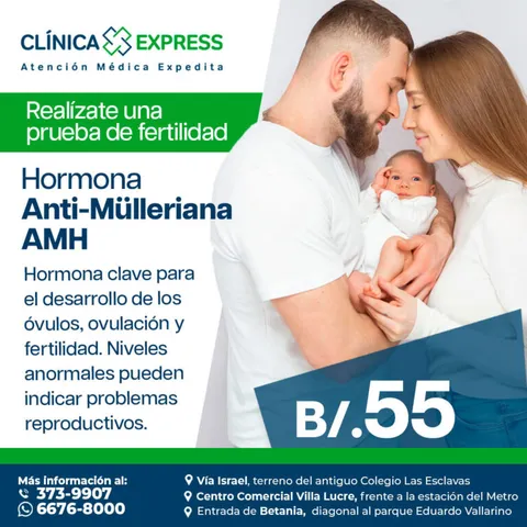 hormona-anti-mulleriana-amh